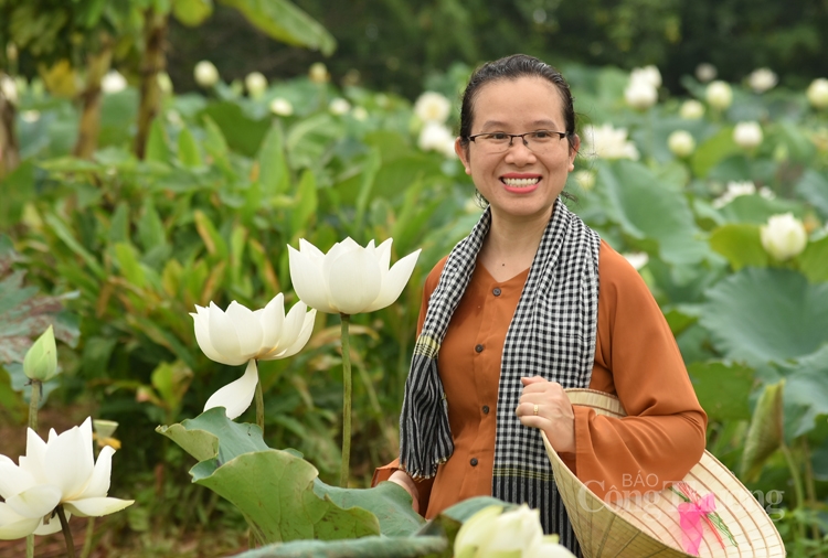 tinh khoi sen trang ngoai thanh ha noi