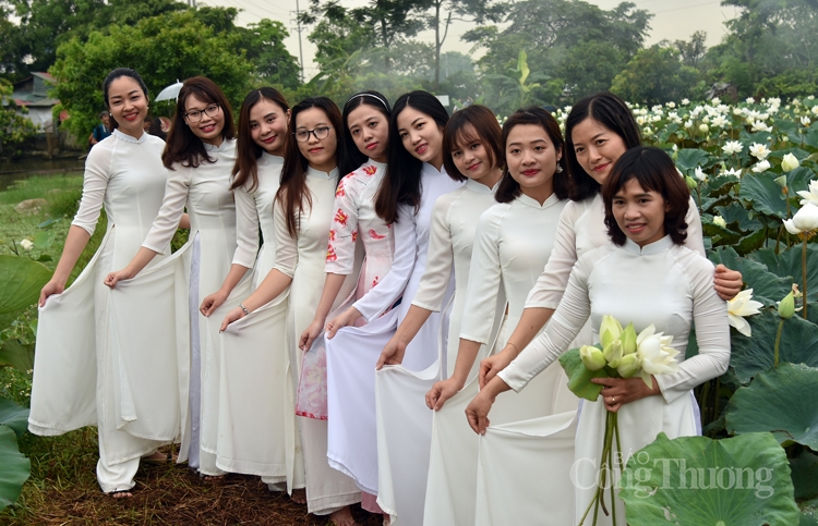 tinh khoi sen trang ngoai thanh ha noi