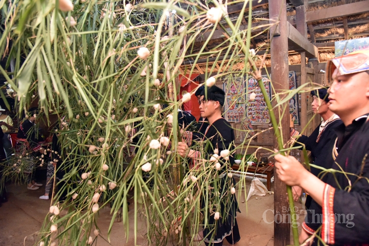 Tết cầu mùa, hội tụ giá trị nhân văn của người Dao Tiền