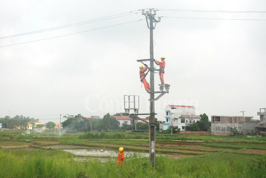 quyet liet trien khai phuong an dam bao an toan luoi dien
