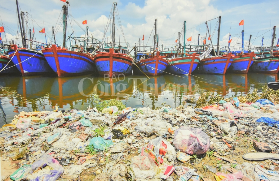 trien lam anh rac thai nhua hay cuu bien