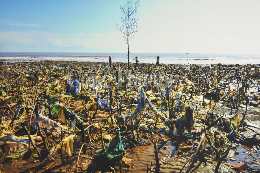 trien lam anh rac thai nhua hay cuu bien