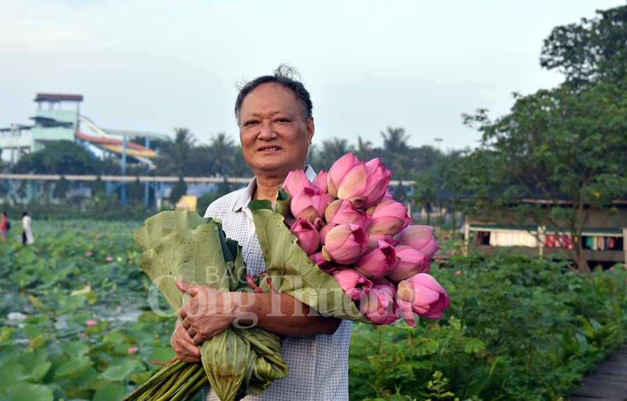 tra sen ho tay luu giu net van hoa nguoi ha noi