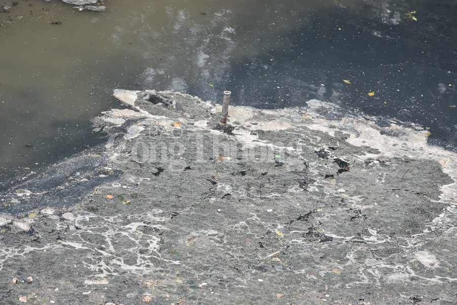 song to lich lieu co kip hoi sinh