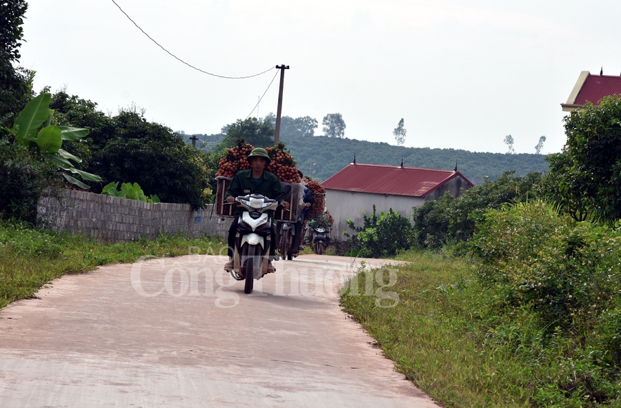 ruc ro sac do tai vuong quoc vai thieu luc ngan