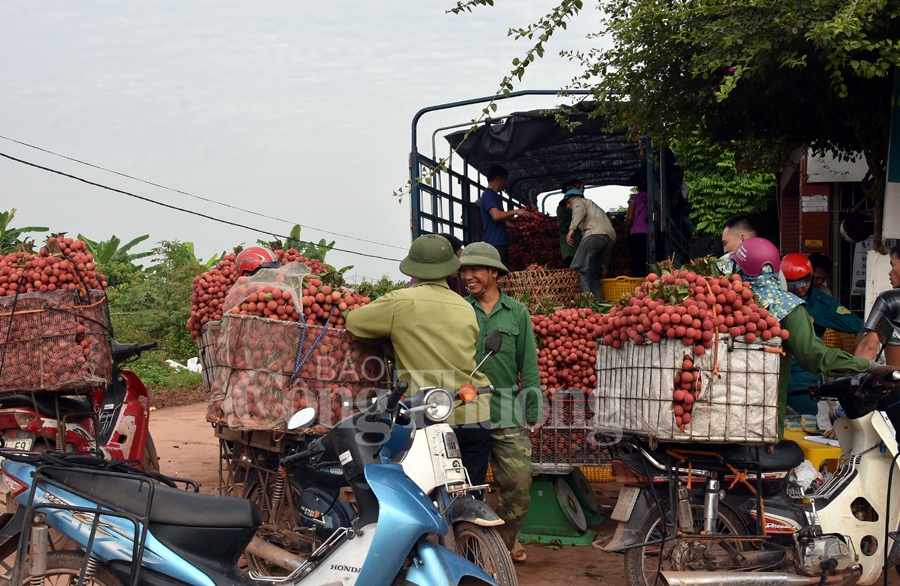 ruc ro sac do tai vuong quoc vai thieu luc ngan