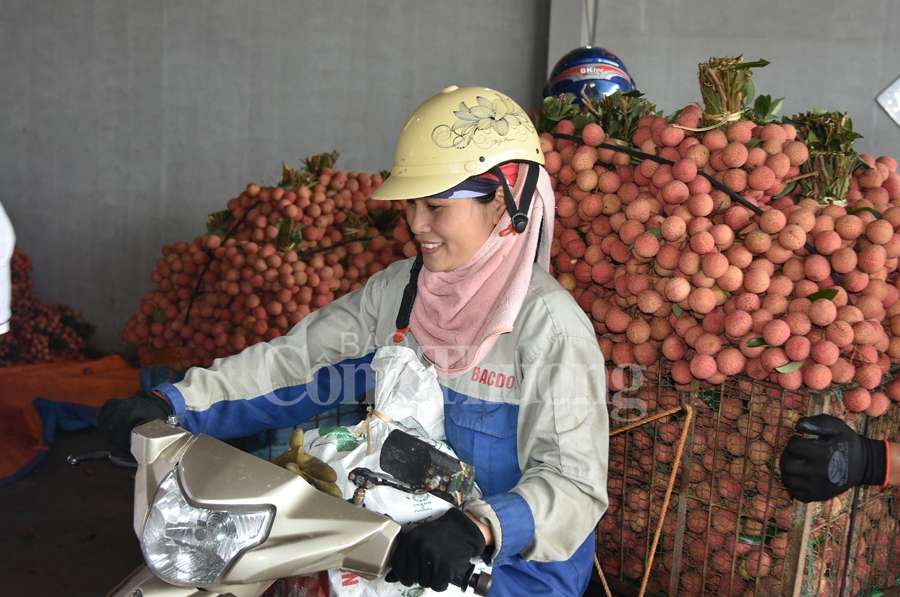 ruc ro sac do tai vuong quoc vai thieu luc ngan
