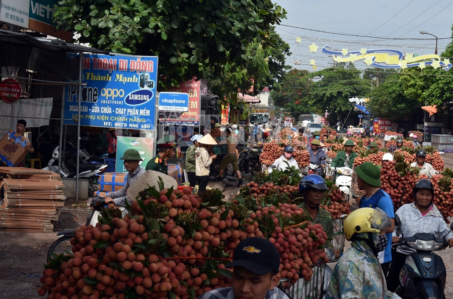 ruc ro sac do tai vuong quoc vai thieu luc ngan