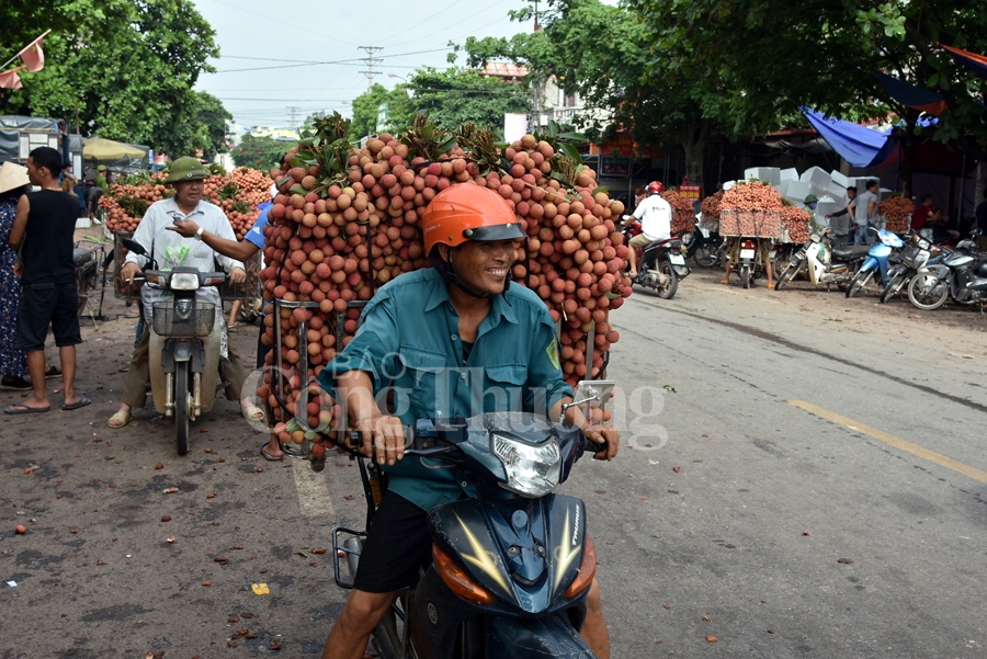 ruc ro sac do tai vuong quoc vai thieu luc ngan