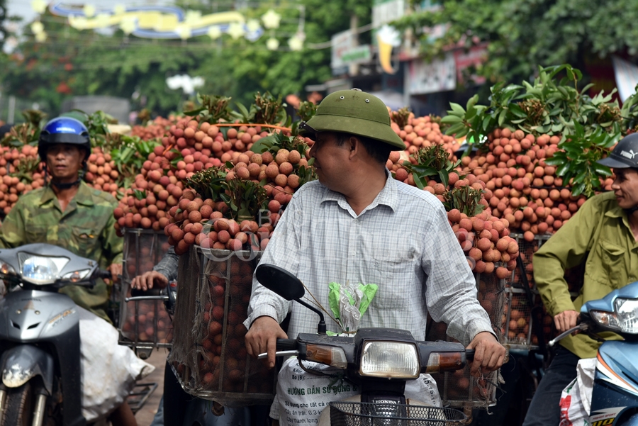 ruc ro sac do tai vuong quoc vai thieu luc ngan