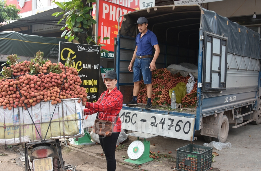 ruc ro sac do tai vuong quoc vai thieu luc ngan