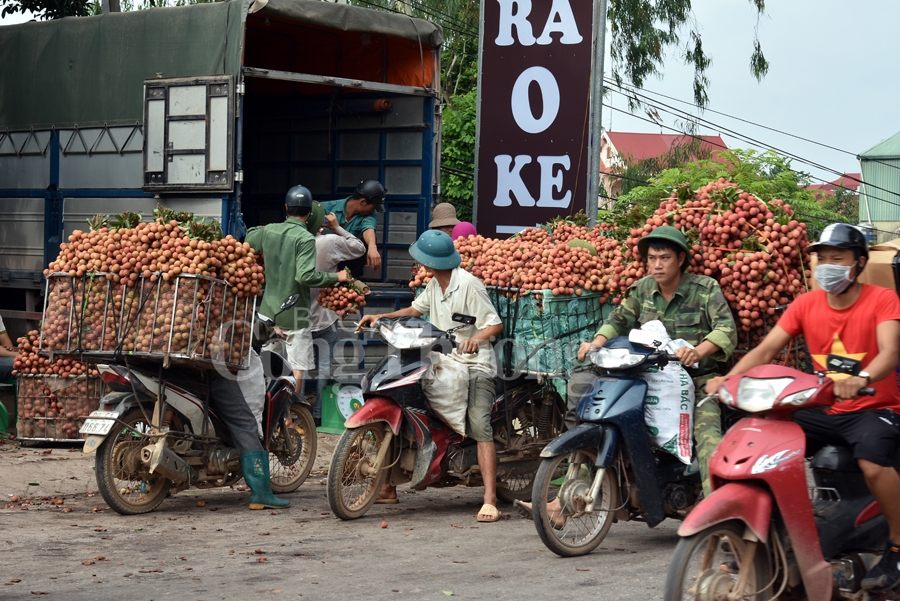 ruc ro sac do tai vuong quoc vai thieu luc ngan