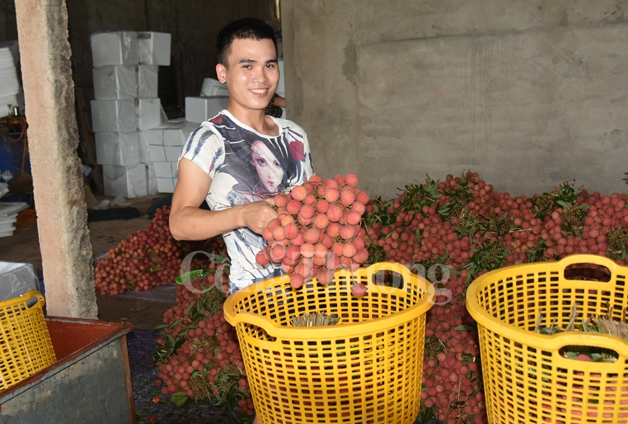 ruc ro sac do tai vuong quoc vai thieu luc ngan