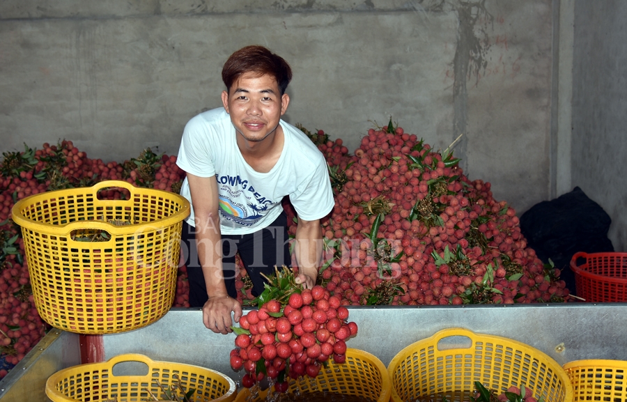 ruc ro sac do tai vuong quoc vai thieu luc ngan