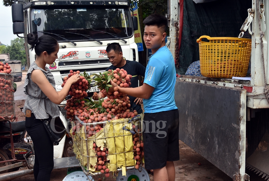 ruc ro sac do tai vuong quoc vai thieu luc ngan