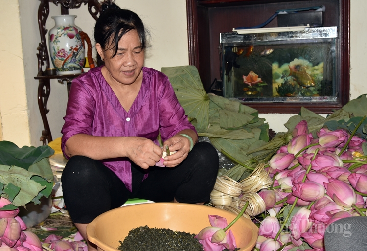 tra sen ho tay uop xoi len ngoi