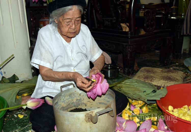 tra sen ho tay uop xoi len ngoi