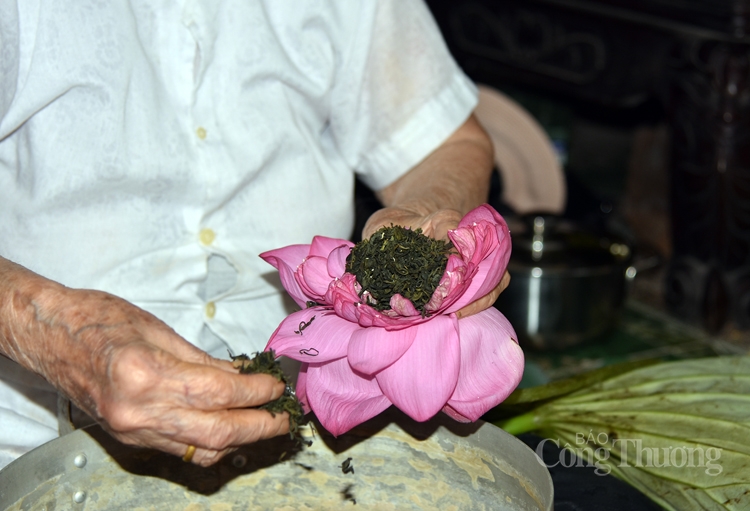 tra sen ho tay uop xoi len ngoi