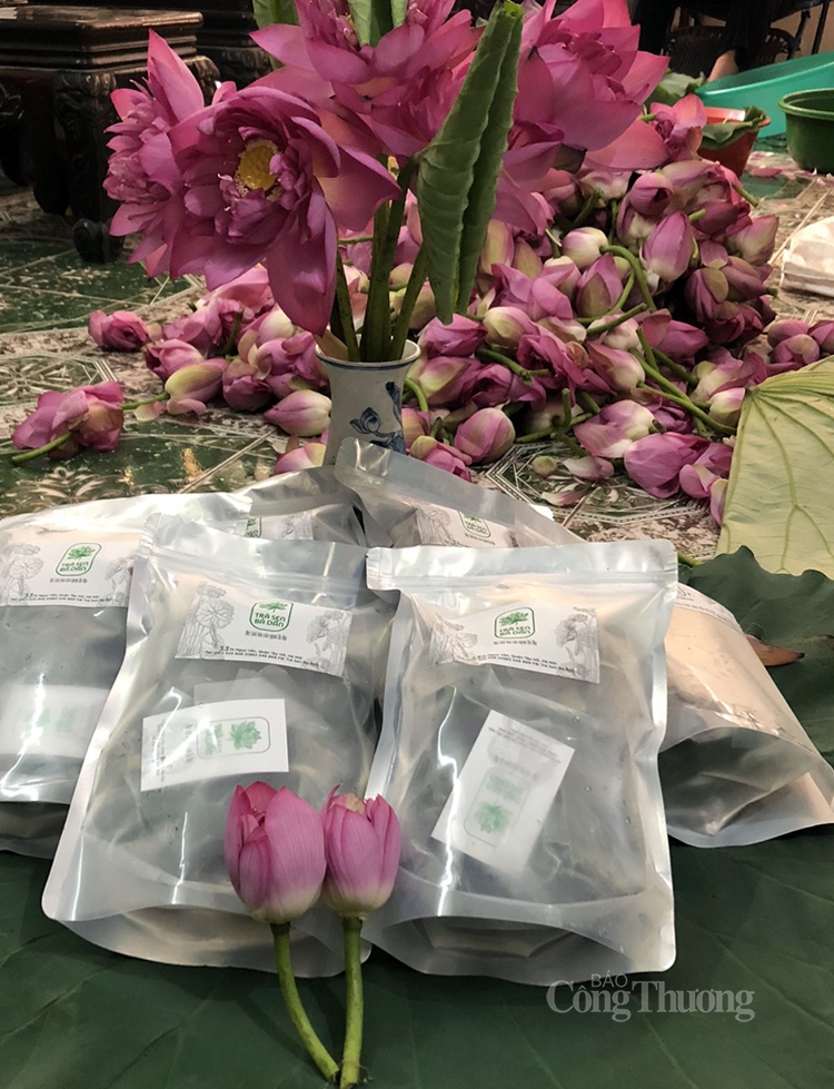 tra sen ho tay uop xoi len ngoi