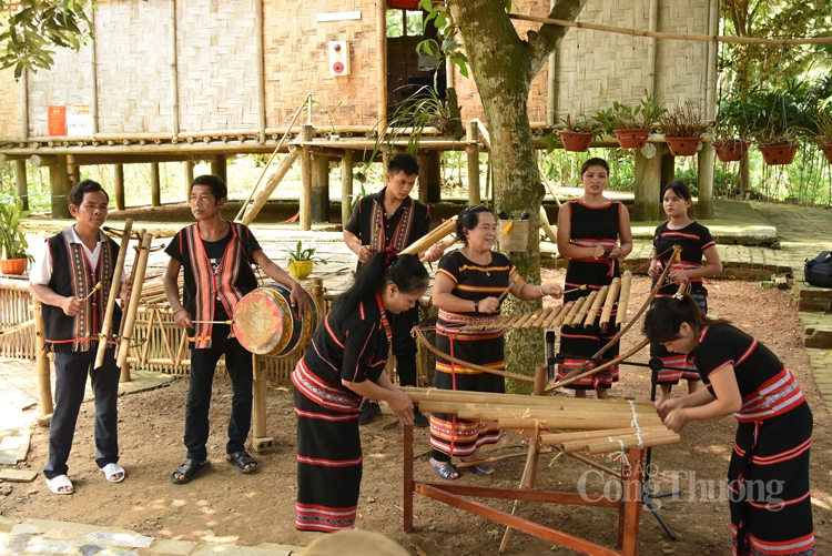 di du lich viet nam voi ngay hoi gia dinh tai ngoi nha chung