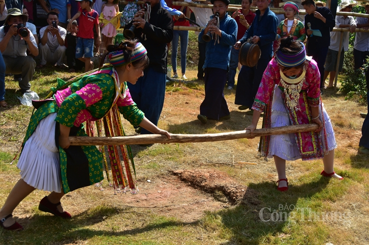 di du lich viet nam voi ngay hoi gia dinh tai ngoi nha chung