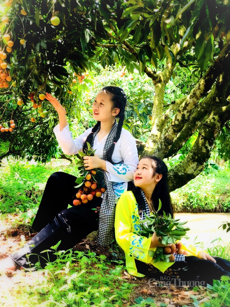 luc ngan diem hen mua vai chin