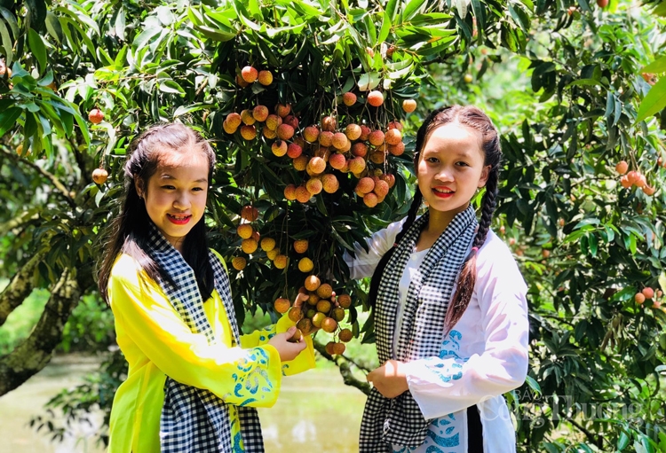 \"Lục \"luc