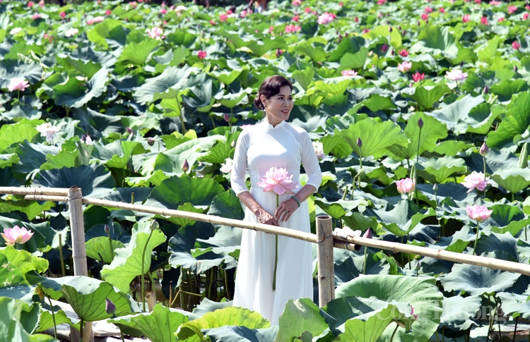 ha noi ruc sac mau 72 loai sen quy hiem