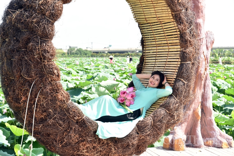 ha noi ruc sac mau 72 loai sen quy hiem