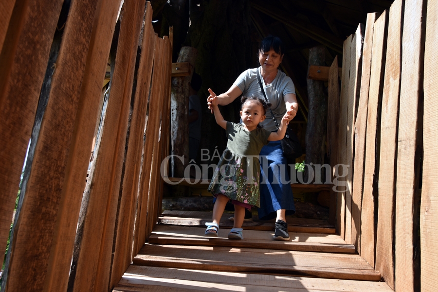 san choi phieu luu khuyen khich tre em tu do sang tao