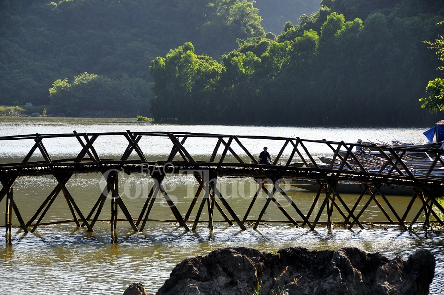 binh yen thung nham dat lanh chim dau