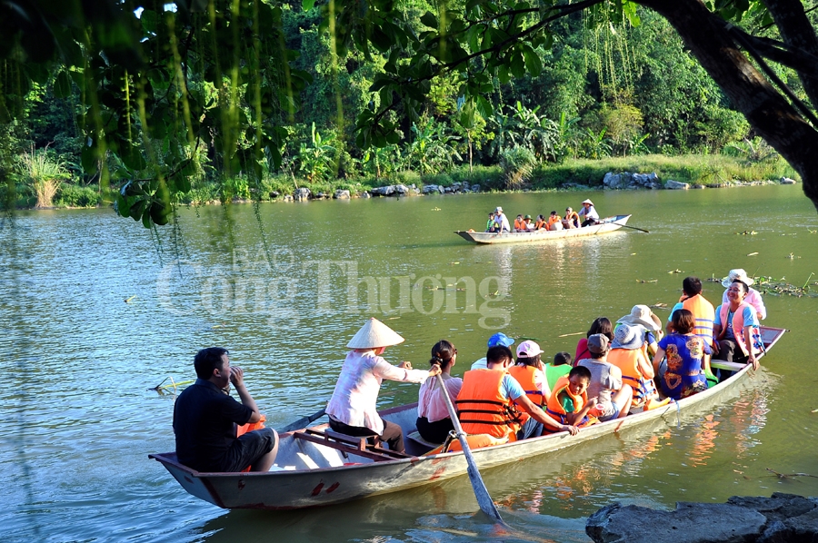 binh yen thung nham dat lanh chim dau