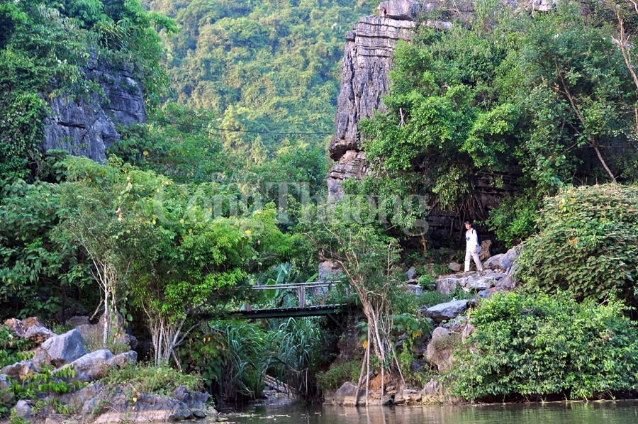 binh yen thung nham dat lanh chim dau