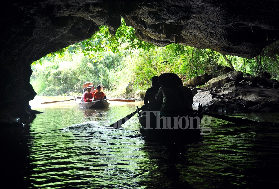 binh yen thung nham dat lanh chim dau