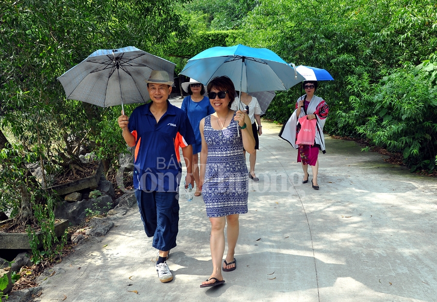 binh yen thung nham dat lanh chim dau