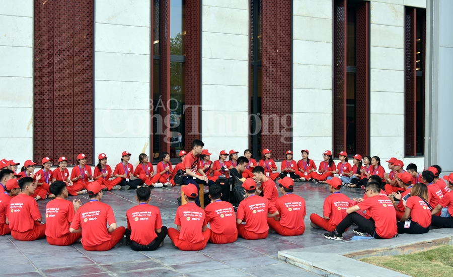 giot hong tri an va hoi quan hanh trinh do 2019