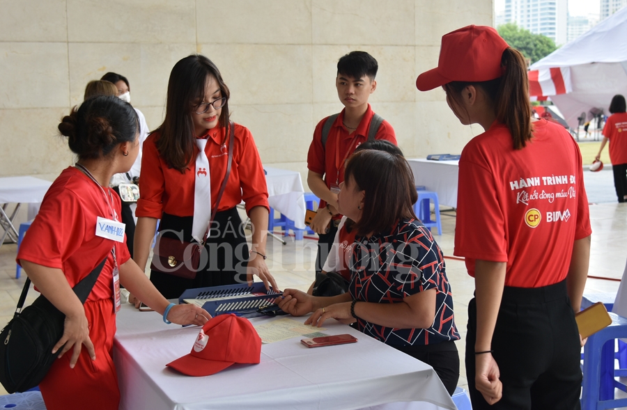 giot hong tri an va hoi quan hanh trinh do 2019