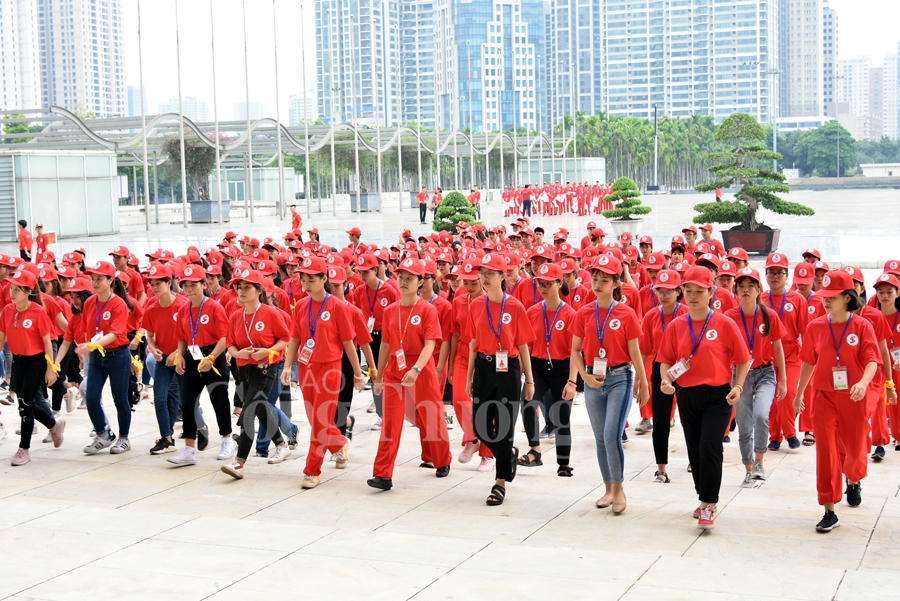 giot hong tri an va hoi quan hanh trinh do 2019