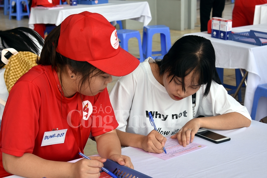 giot hong tri an va hoi quan hanh trinh do 2019