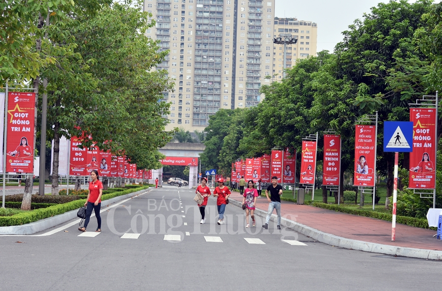 giot hong tri an va hoi quan hanh trinh do 2019