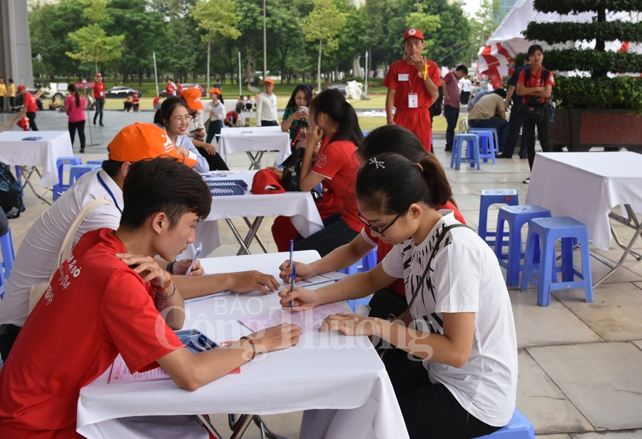 giot hong tri an va hoi quan hanh trinh do 2019