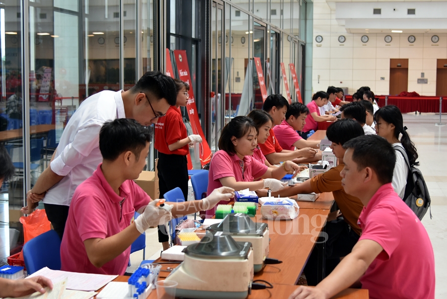 giot hong tri an va hoi quan hanh trinh do 2019