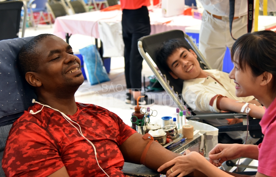 giot hong tri an va hoi quan hanh trinh do 2019