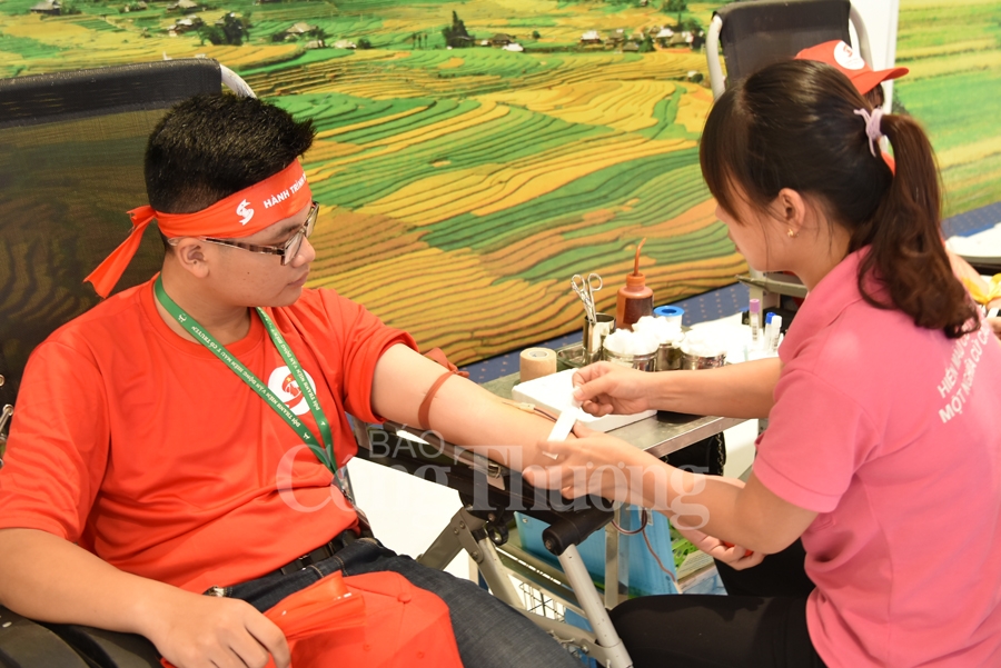 giot hong tri an va hoi quan hanh trinh do 2019