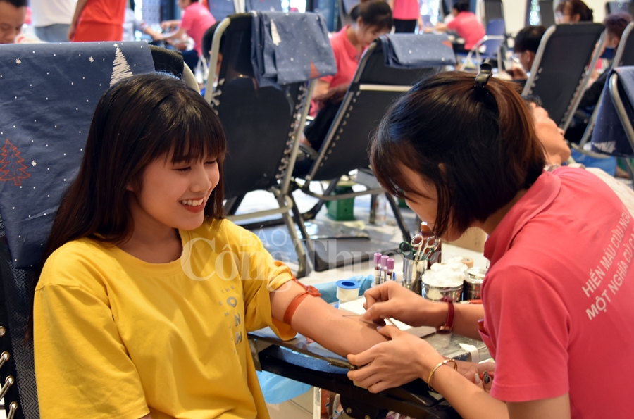 giot hong tri an va hoi quan hanh trinh do 2019