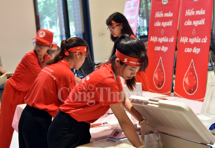 giot hong tri an va hoi quan hanh trinh do 2019