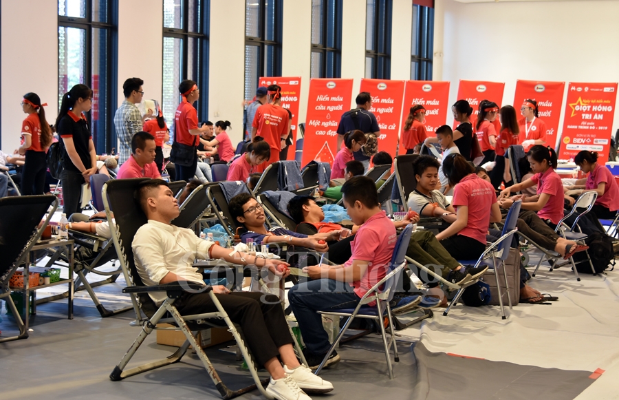 giot hong tri an va hoi quan hanh trinh do 2019