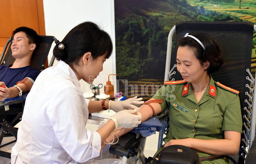 giot hong tri an va hoi quan hanh trinh do 2019