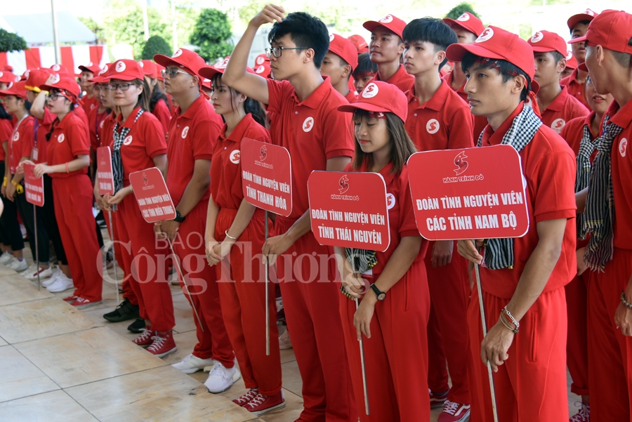 giot hong tri an va hoi quan hanh trinh do 2019