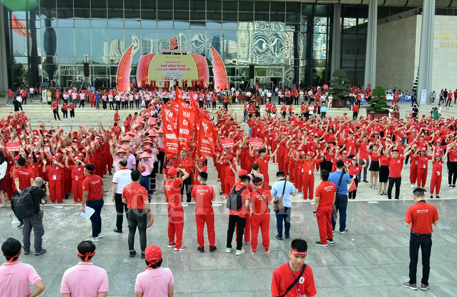 giot hong tri an va hoi quan hanh trinh do 2019